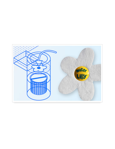 Water Lily absorbente residuos grasos