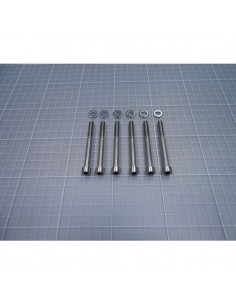 Tornillo fijación cuerpo de...